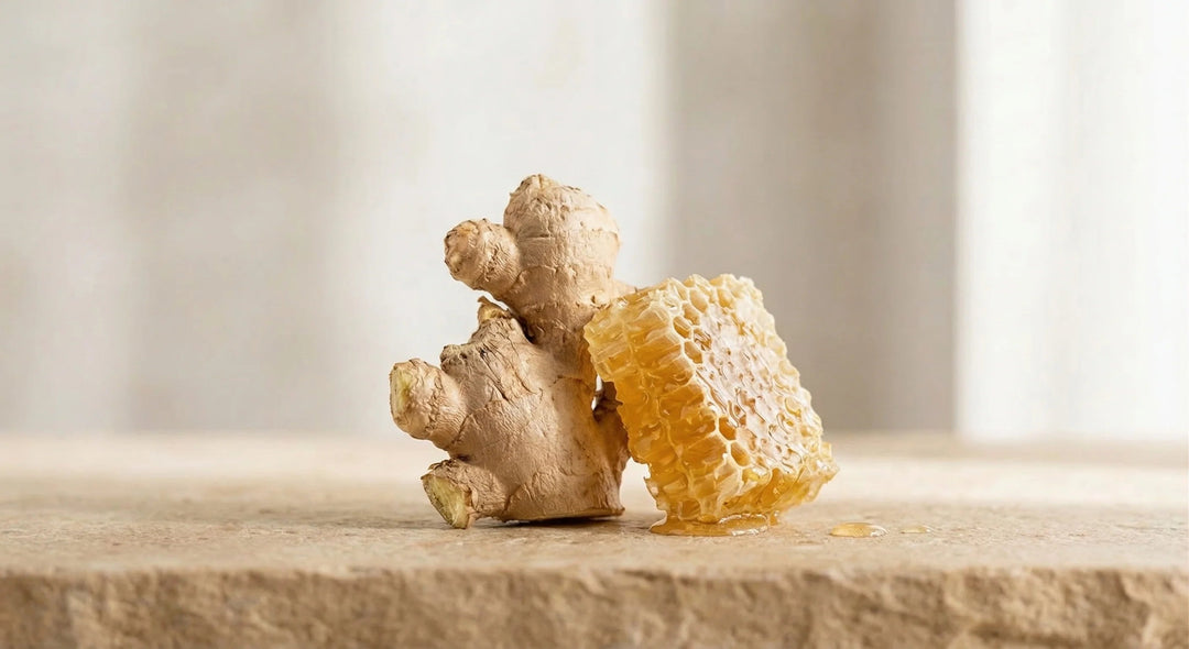 Immunsystem - Purefitness Nutrition