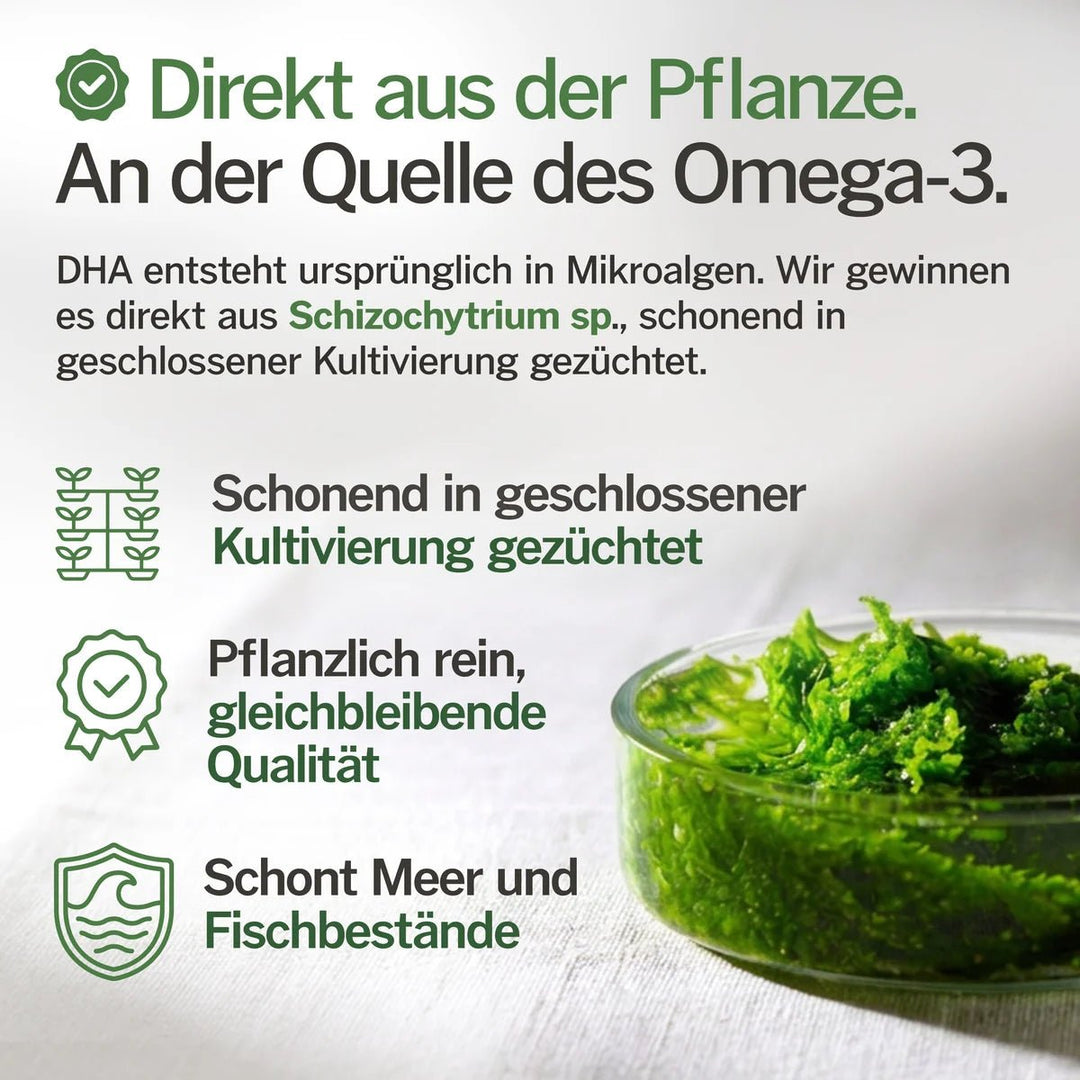 Pure Nature Omega-3 Bio-Algenöl vegan - Bild 7: Direkt aus der Mikroalge Schizochytrium, geschlossene Kultivierung